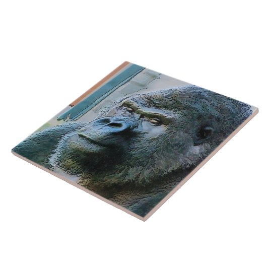 CARREAU GORILLAS (Côté)