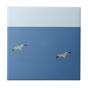 Carreau Goto Blue Sky Seagulls Libre Glide Flying