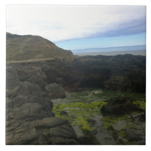 Carreau Gouffre de Cook, Cape Perpetua, OR