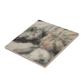 Carreau Gourmandises En Noir Et Blanc (Côté)