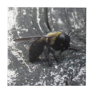 Carreau Gouttes de pluie