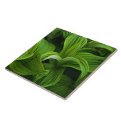 Carreau Gouttes de rosée sur un Helabore faux (Côté)