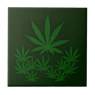 Carreau Graine verte