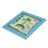 Carreau Graines de carottes cultivant des légumes (Côté)