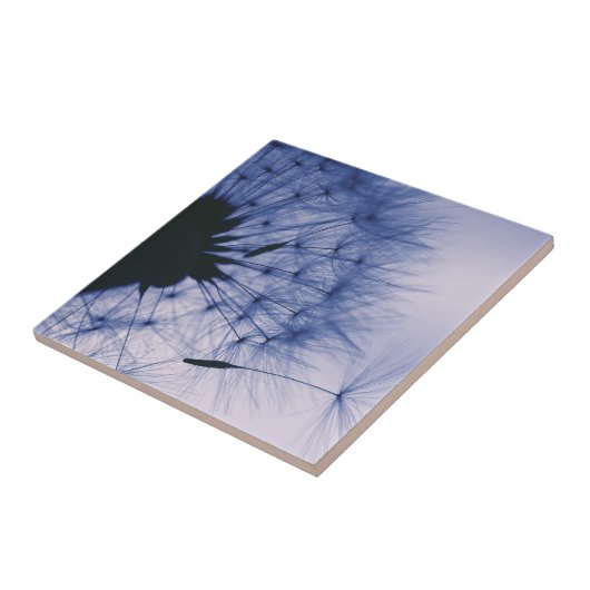 Carreau Graines de pissenlit (Côté)