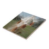 Carreau Graines flottantes d'algue Art Imprimer/Graphique (Côté)