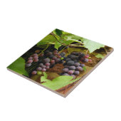 CARREAU GRAISSES NOIRES (Côté)