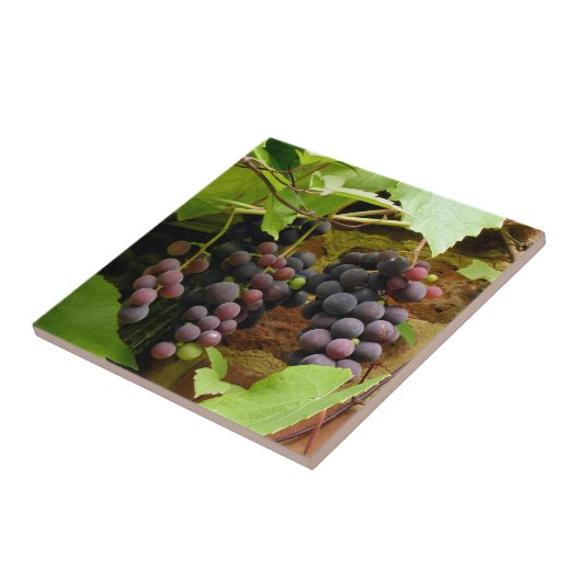 CARREAU GRAISSES NOIRES (Côté)