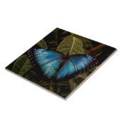 Carreau Grand, beau papillon bleu (Côté)