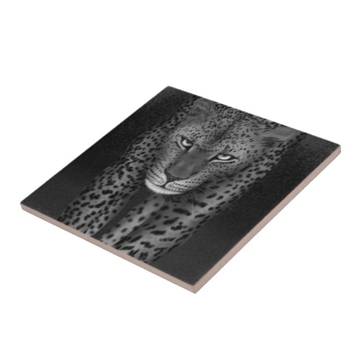 Carreau Grand chat (Côté)