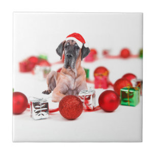 Carreau Grand Danois avec ornements de Noël Cadeaux