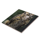 Carreau Grand-duc d'Amérique (Bubo virginianus), corps ent (Côté)