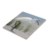 Carreau Grand héron (Côté)