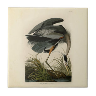 Carreau Grand Héron bleu d'Audubon Marais Oiseau