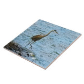 Carreau Grand Héron Bleu debout dans l'eau (Côté)