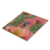 Carreau Grand oiseau-soleil à col double (Côté)