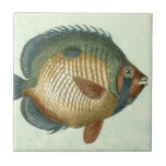 Carreau Grand Poisson Coloré<br><div class="desc">Obtenez cette image unique d'un gros poisson coloré sur votre prochain produit. Ce dessin artistique extraordinaire d'un poisson vert,  orange,  bleu foncé et jaune se fera une place de choix. Prenez cette image inspirée de la mer avec vous partout où vous allez.</div>