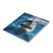 Carreau Grand requin blanc (Côté)