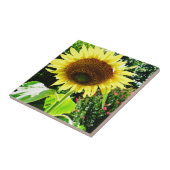 Carreau Grand tournesol jaune (Côté)