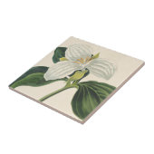 Carreau Grand Trillium fleuri (Côté)