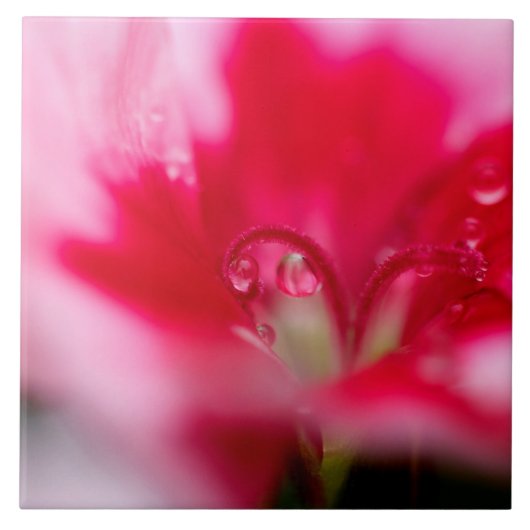 Carreau Grande tuile en céramique de photo "attrapée " (Devant)