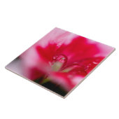 Carreau Grande tuile en céramique de photo "attrapée " (Côté)