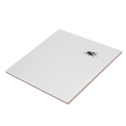 Carreau Grande tuile Fly Buddy (Côté)