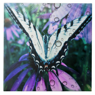 Carreau Grands (6" X 6") tuile/papillon en céramique de