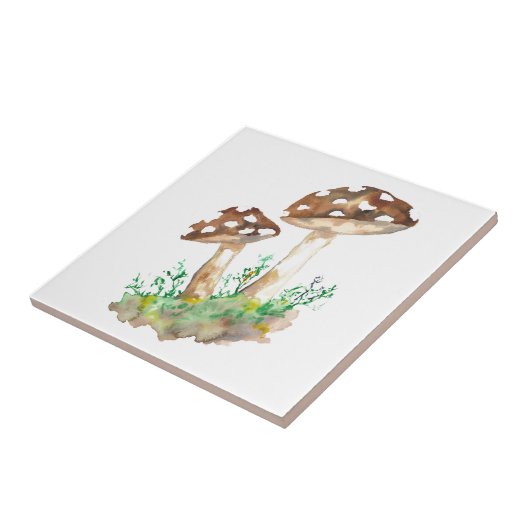 Carreau Grands champignons Brown (Côté)