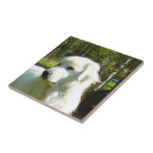 Carreau Grands Pyrénées (Côté)