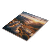 Carreau Grands Pyrénées Début de la journée (Côté)