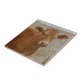 Carreau Grands yeux de vache - bétail rouges (Côté)