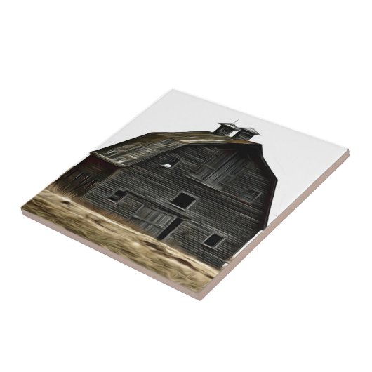 Carreau Grange abandonnée de prairie (Côté)