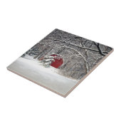 Carreau Grange rouge dans la neige 2011 (Côté)