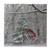 Carreau Grange rouge neigeuse (Devant)