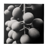 Carreau graphes (Devant)