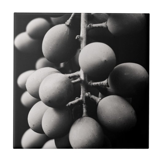 Carreau graphes (Devant)