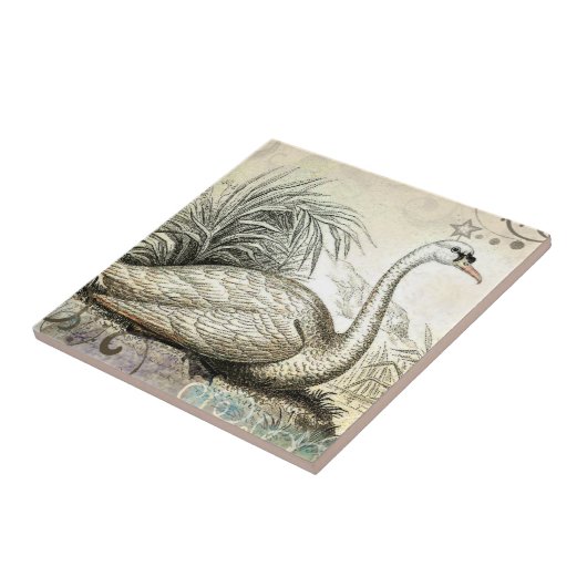 Carreau Graphique de cygne (Côté)