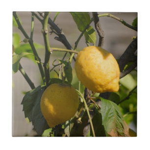 Carreau Graphiques Citron Espagnol