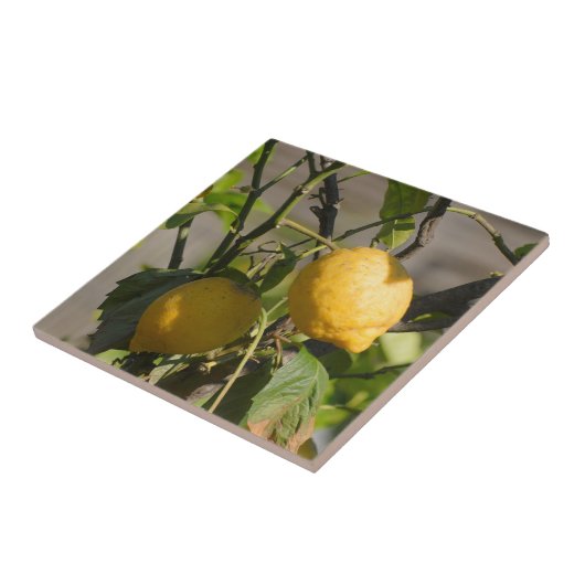 Carreau Graphiques Citron Espagnol (Côté)