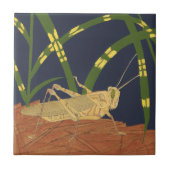 Carreau Grasshopper en Grass vert sur Arrière - plan bleu (Devant)