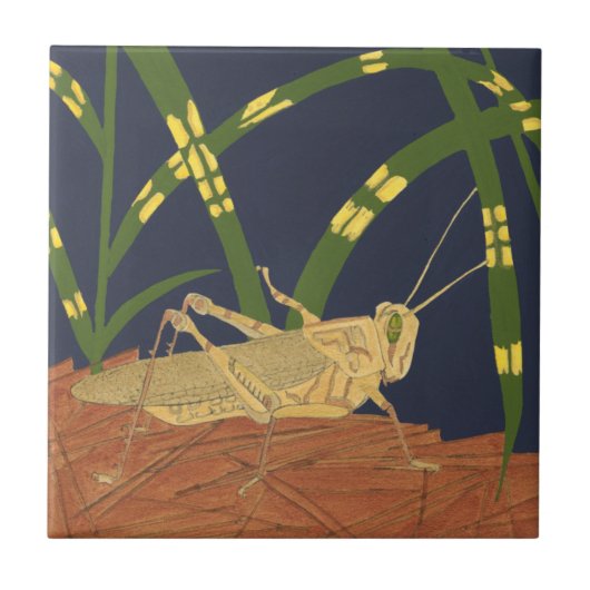 Carreau Grasshopper en Grass vert sur Arrière - plan bleu (Devant)