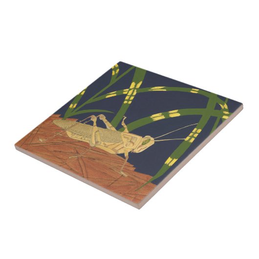 Carreau Grasshopper en Grass vert sur Arrière - plan bleu (Côté)