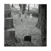 Carreau Grave oubliée (Devant)