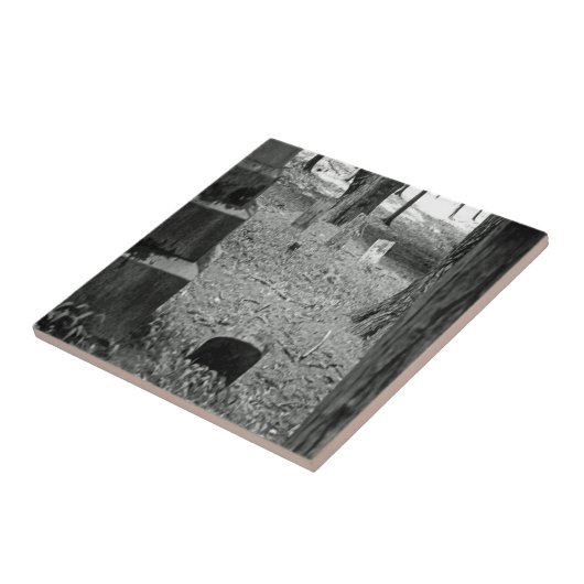 Carreau Grave oubliée (Côté)