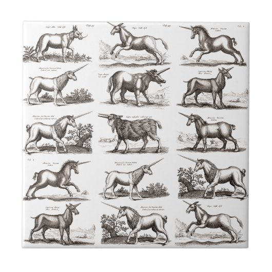 Carreau Gravure de licorne antique Spécimen de zoologie vi (Devant)