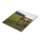Carreau Graze du matin (Côté)