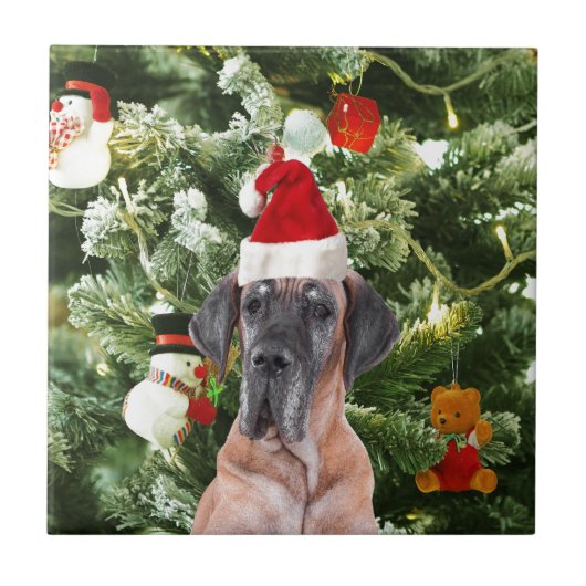 Carreau Great Dane w Christmas Tree Cadeaux Boîtes de Noël (Devant)