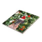 Carreau Great Dane w Christmas Tree Cadeaux Boîtes de Noël (Côté)