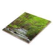 Carreau Great Smoky Mountains National Park Caroline du No (Côté)